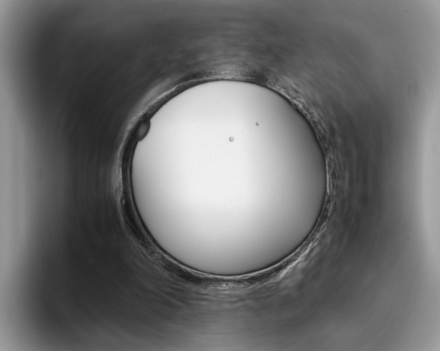 X0000094930198200711291008