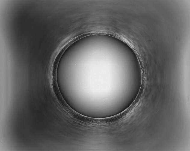 X0000094930199200711291008