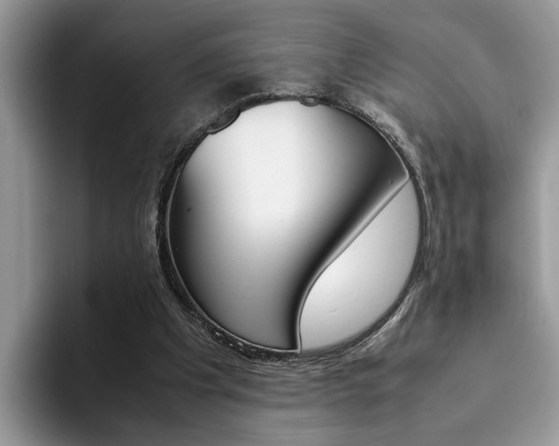 X0000094930201200711291008