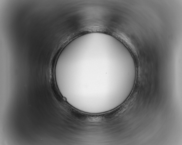 X0000094930202200711291008
