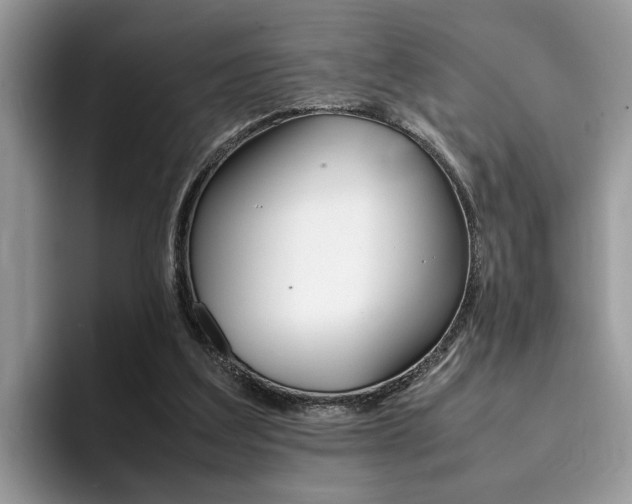 X0000094930203200711291008