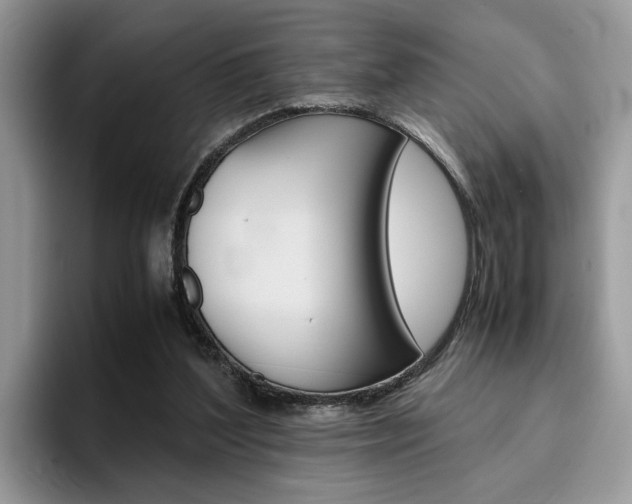 X0000094930204200711291008