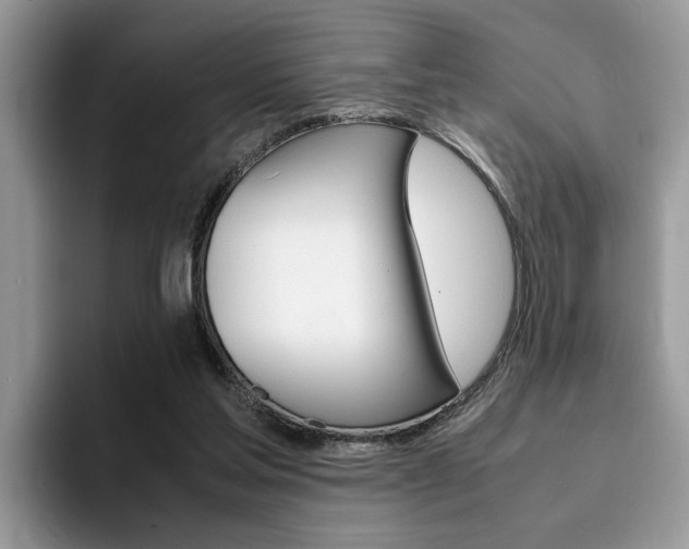 X0000094930205200711291008