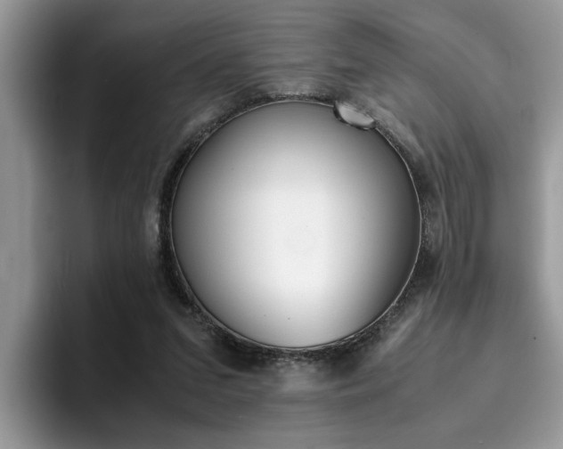 X0000094930207200711291008