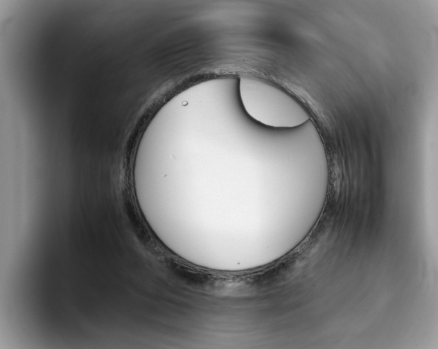 X0000094930208200711291008