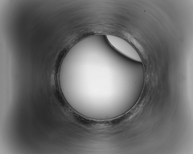 X0000094930209200711291007