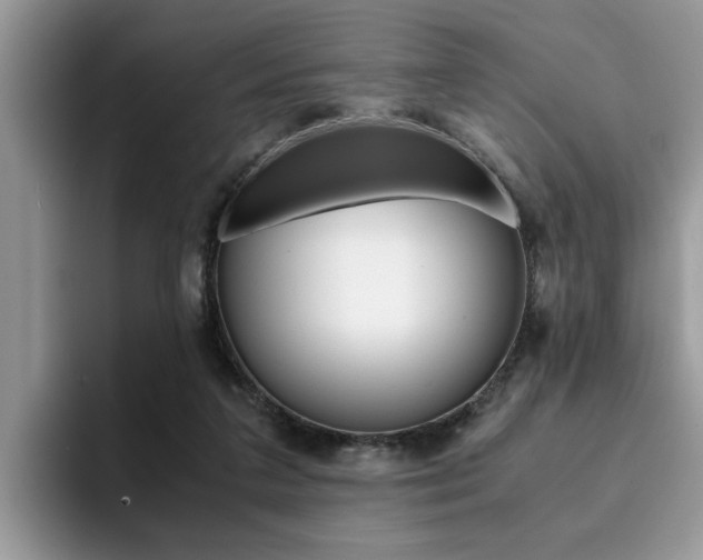 X0000094930211200711291007