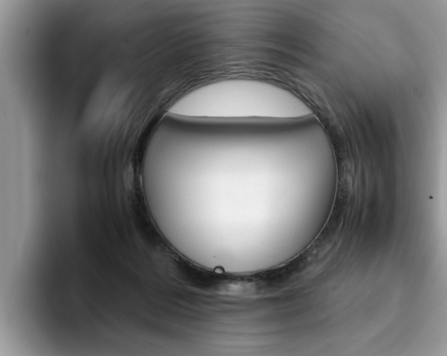 X0000094930220200711291007