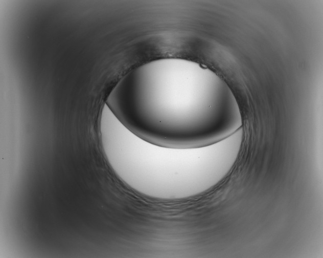 X0000094930221200711291007