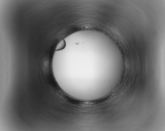 X0000094930222200711291007