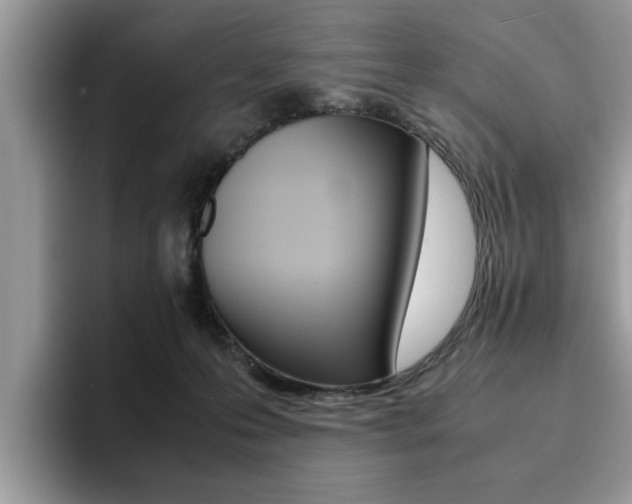 X0000094930223200711291007
