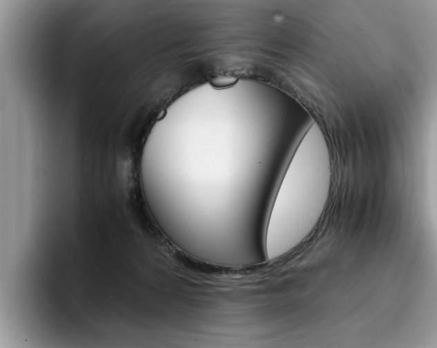 X0000094930224200711291007