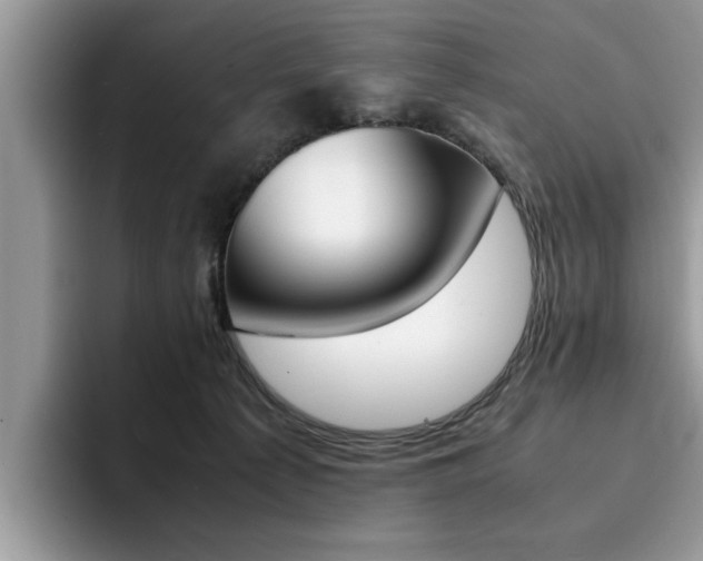X0000094930225200711291007