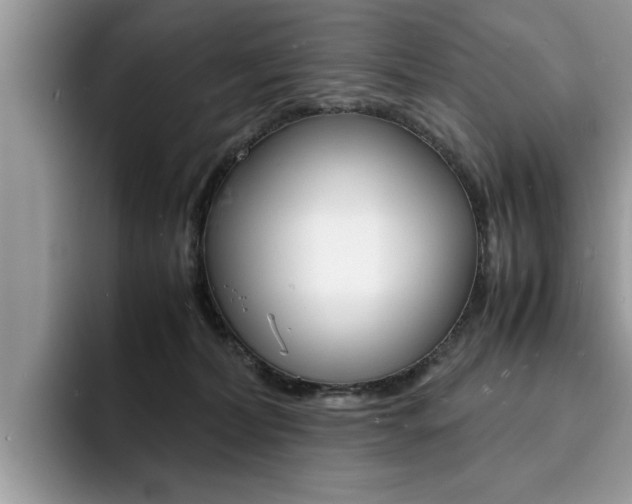 X0000094930228200711291007