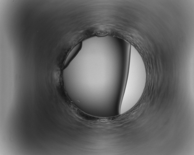 X0000094930231200711291007