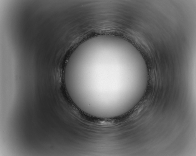 X0000094930232200711291007