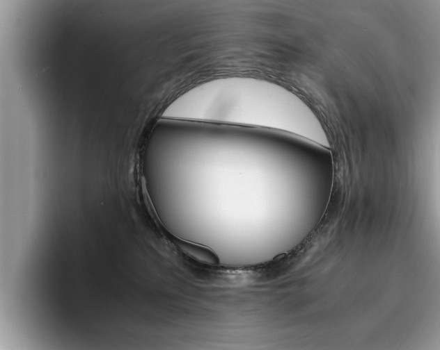 X0000094930233200711291007