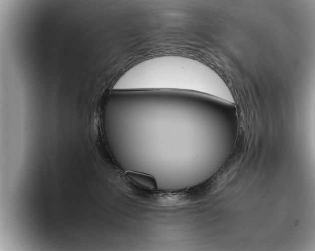 X0000094930235200711291007