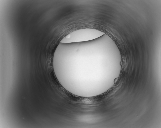 X0000094930236200711291007