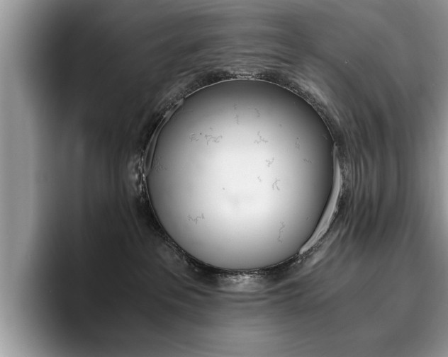 X0000094930237200711291007