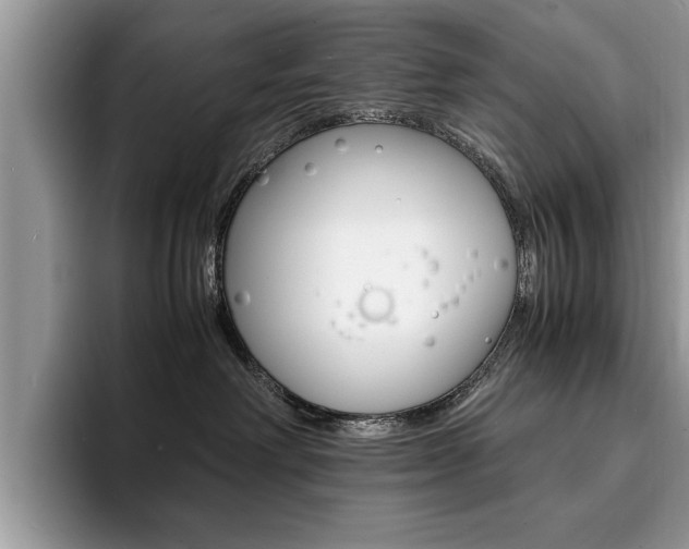 X0000094930238200711291007