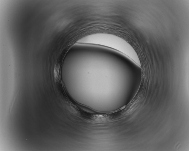 X0000094930239200711291007
