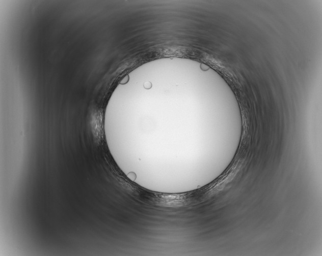 X0000094930240200711291007