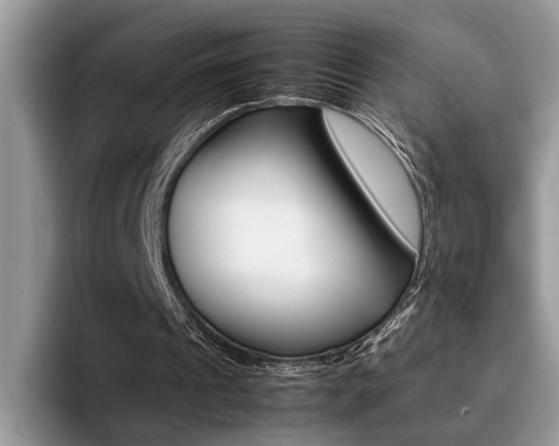 X0000094930241200711291006