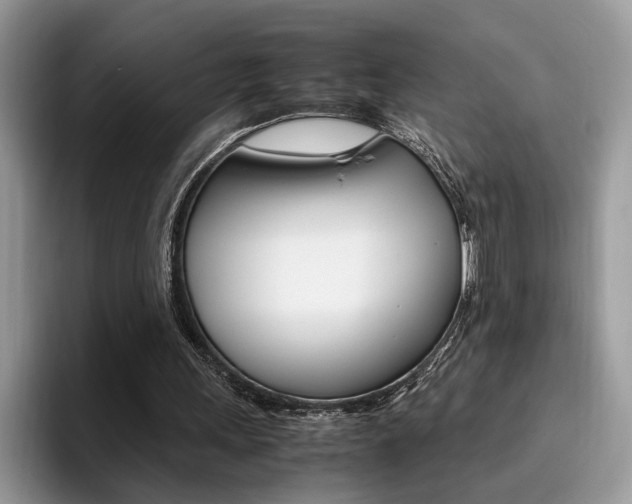 X0000094930243200711291006