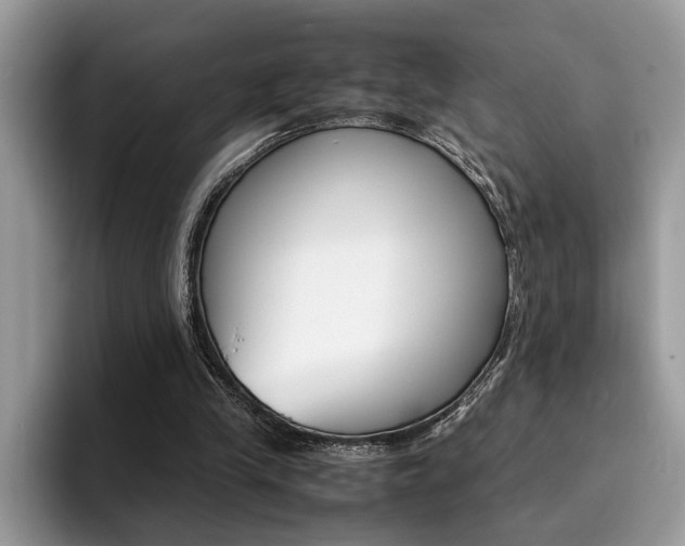X0000094930245200711291007
