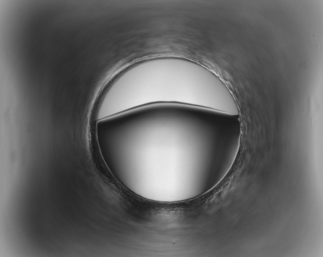 X0000094930248200711291007