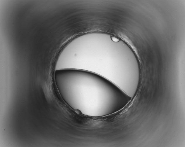 X0000094930249200711291007
