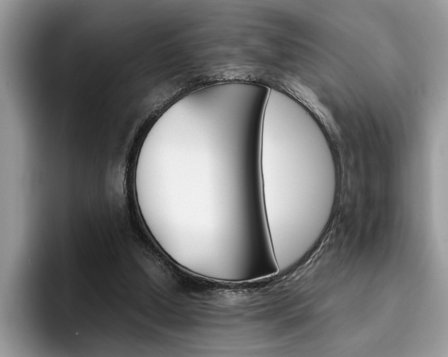 X0000094930250200711291007