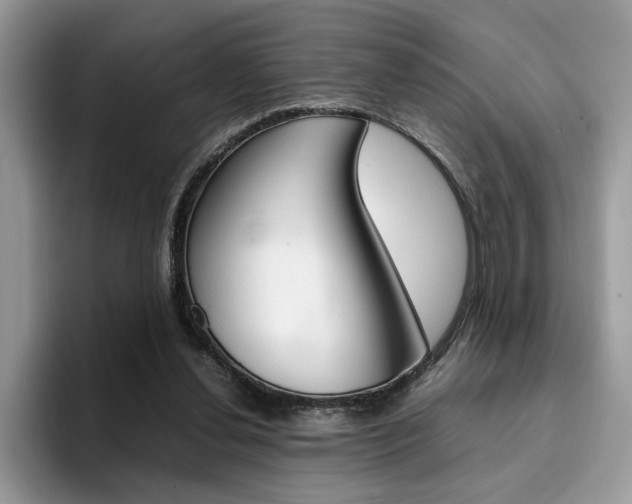 X0000094930252200711291007