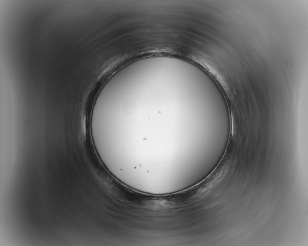 X0000094930253200711291007