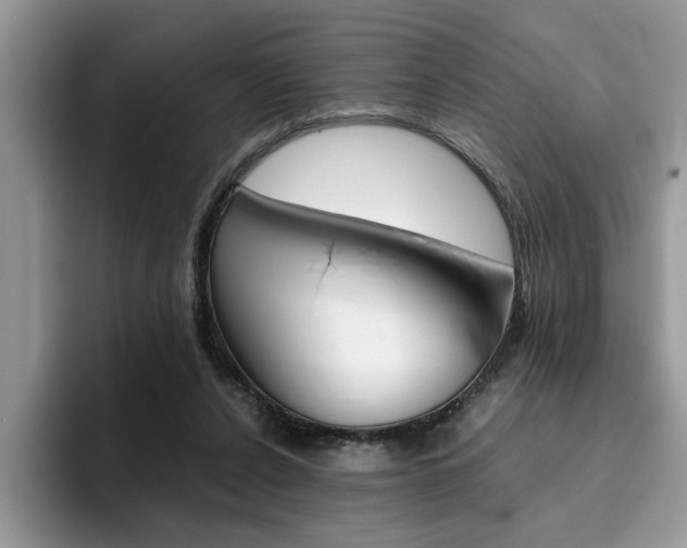 X0000094930256200711291007