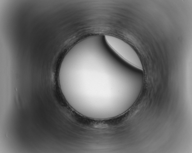 X0000094930258200711291007