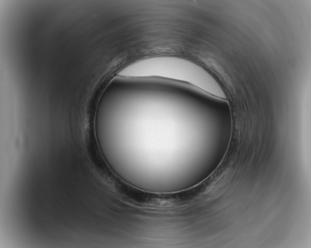 X0000094930260200711291007