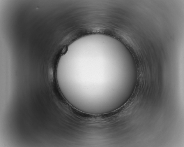 X0000094930262200711291007
