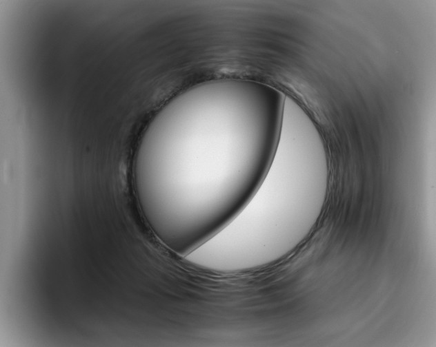 X0000094930269200711291007