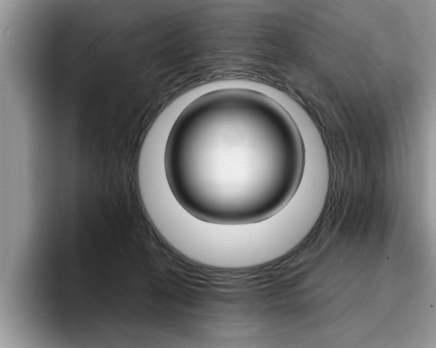 X0000094930274200711291007