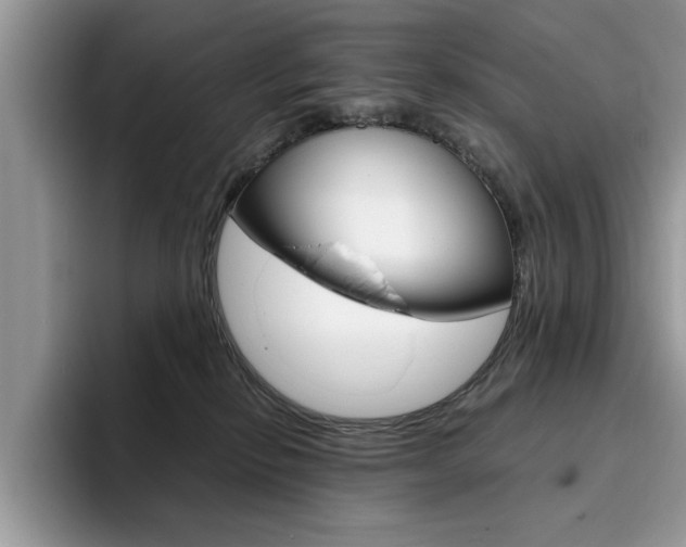 X0000094930278200711291007