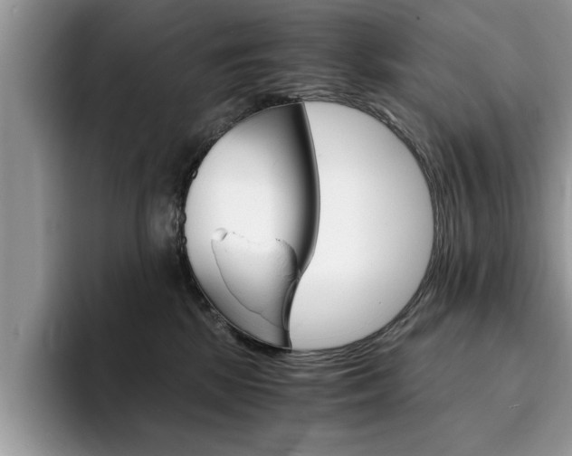 X0000094930281200711291007