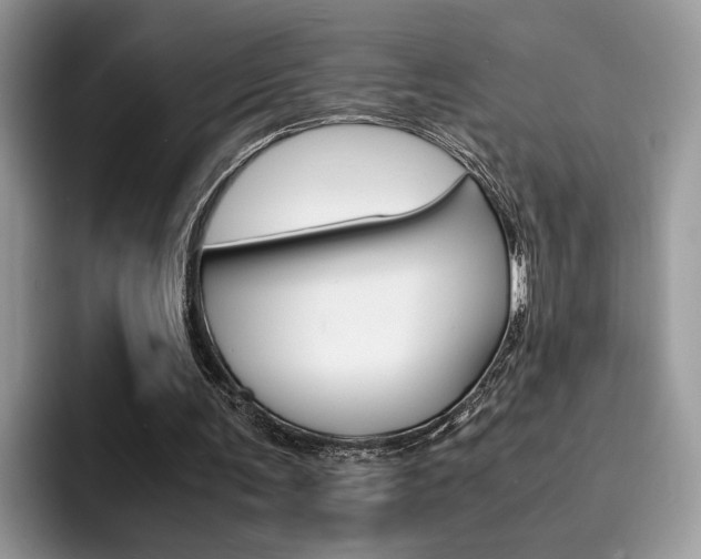 X0000094930291200711291006