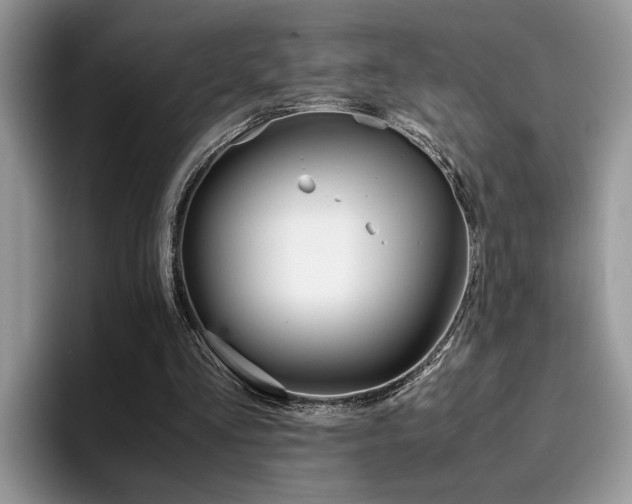 X0000094930293200711291006
