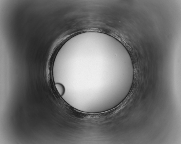 X0000094930294200711291006