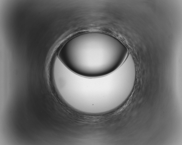 X0000094930295200711291006