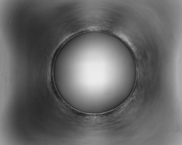 X0000094930297200711291006