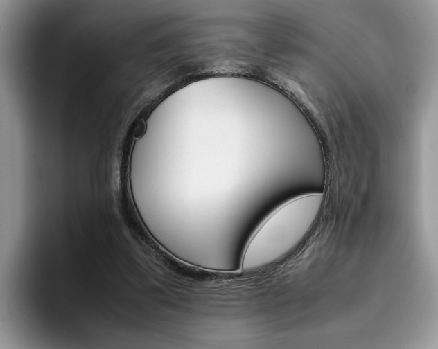 X0000094930299200711291006