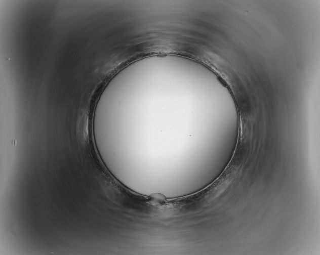 X0000094930301200711291006